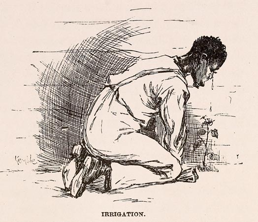 1885 ILLUSTRATION