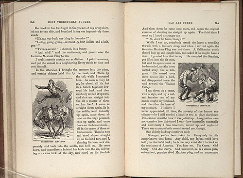 1871 PROSPECTUS PAGE