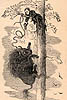 1872 ILLUSTRATION